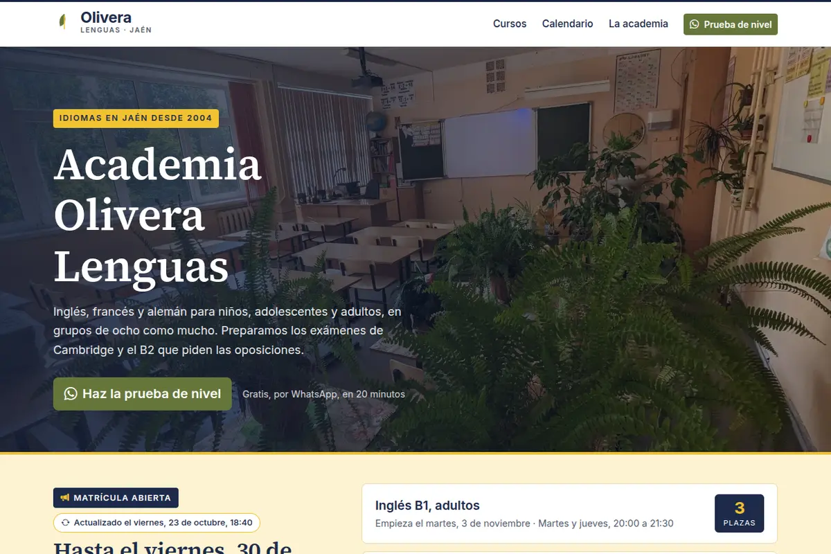 Portada de la web de ejemplo de Academia Olivera Lenguas