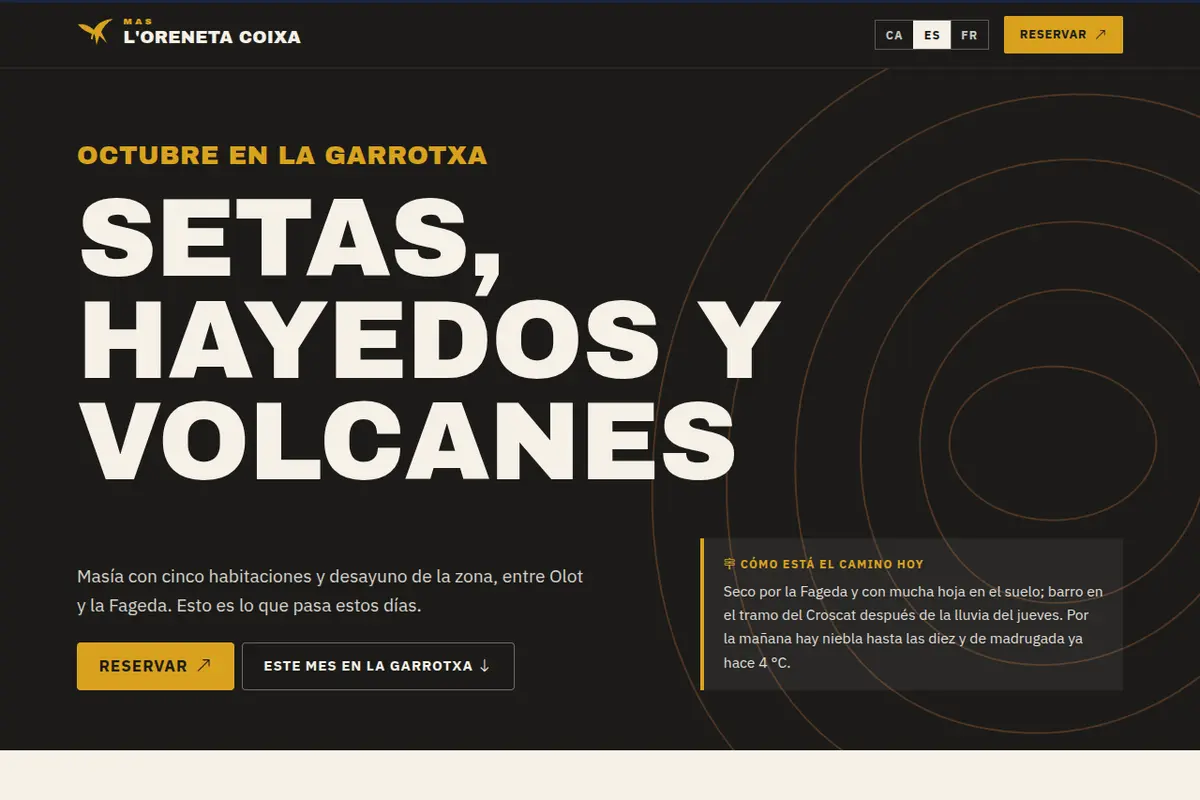 Portada de la web de ejemplo de Mas l'Oreneta Coixa